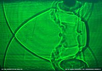 Photo_contest_isfv13_third_prize_smal